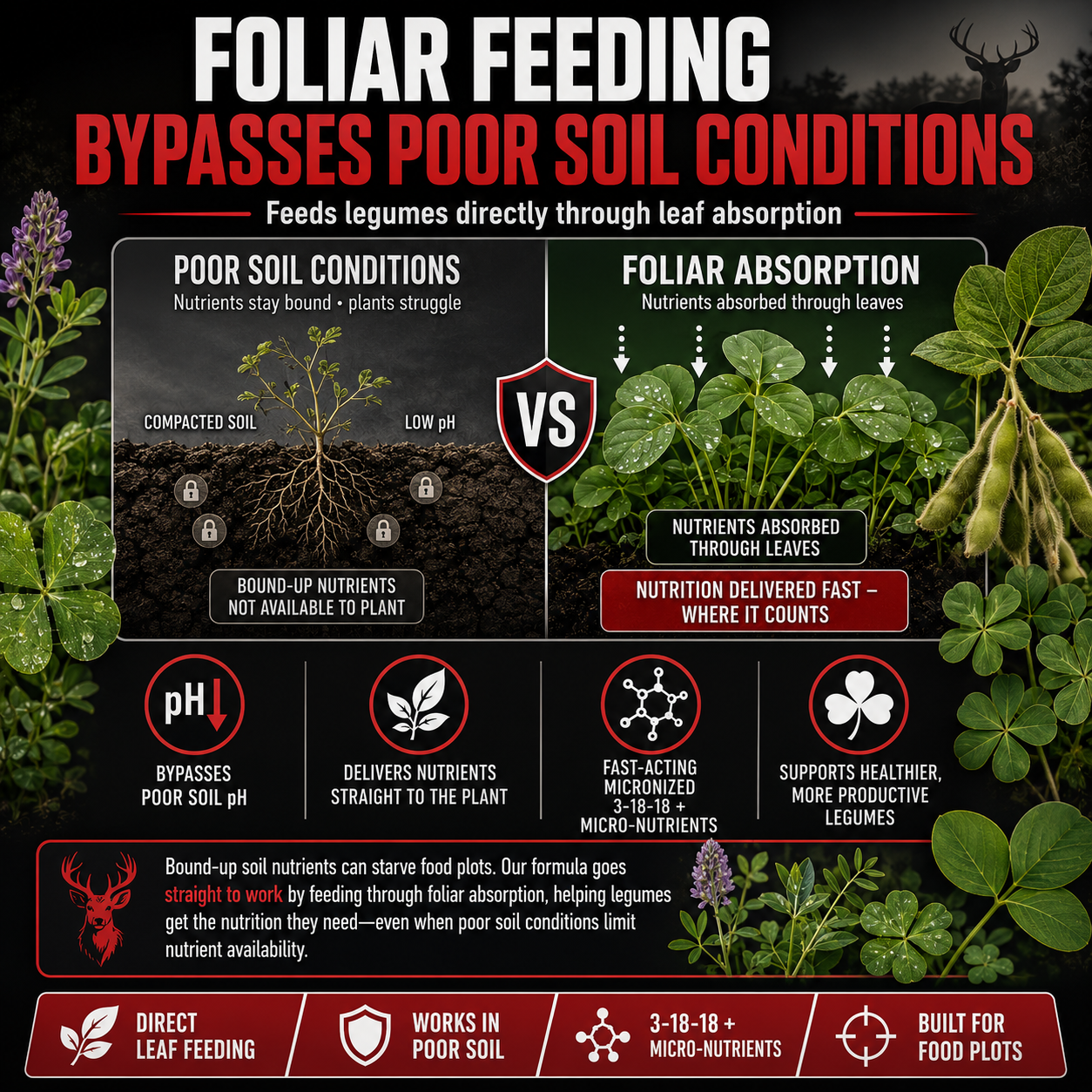 CloverMAXX+ Liquid Fertilizer